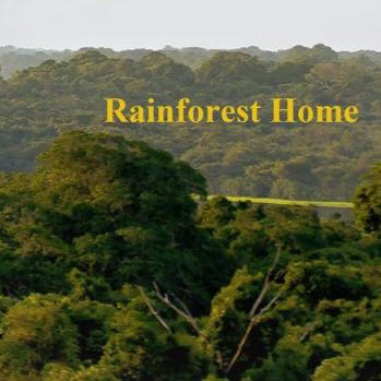 Rainforest Home 2020