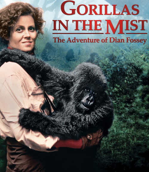 Gorillas In The Mist The Story Of Dian Fossey 1988