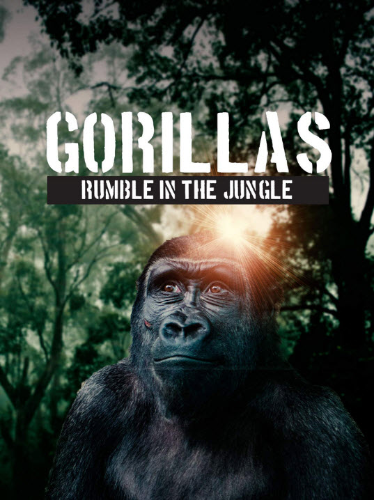 Gorillas Rumble In The Jungle 2020 2021